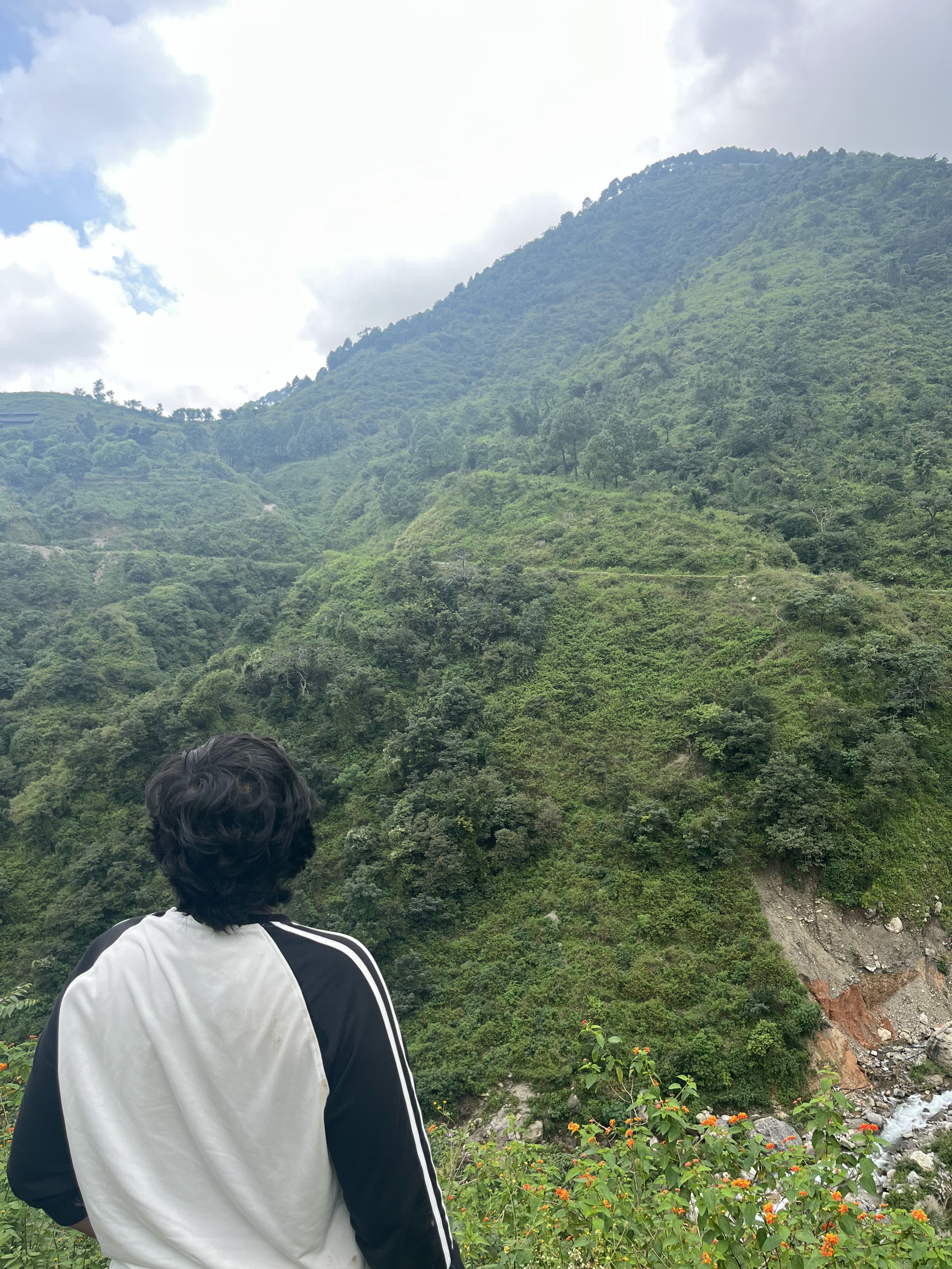 Sree — mountain overlook